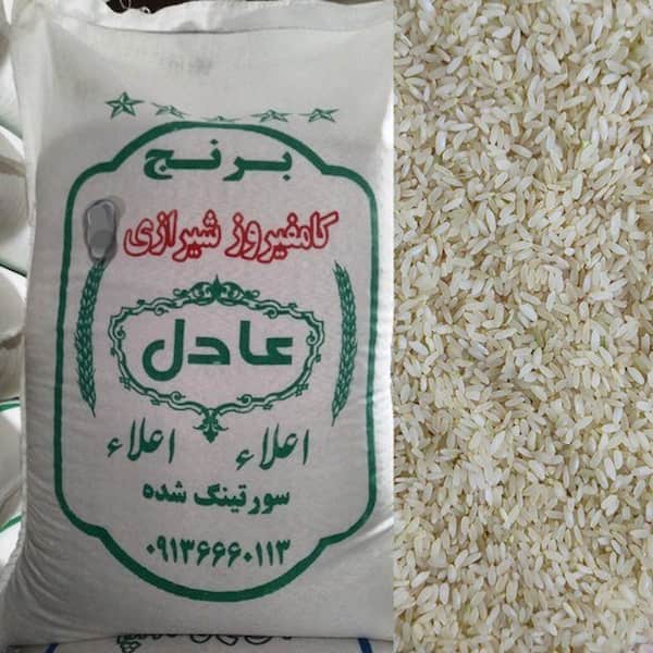 فروش برنج کامفیروزی معدل + قیمت خرید به صرفه